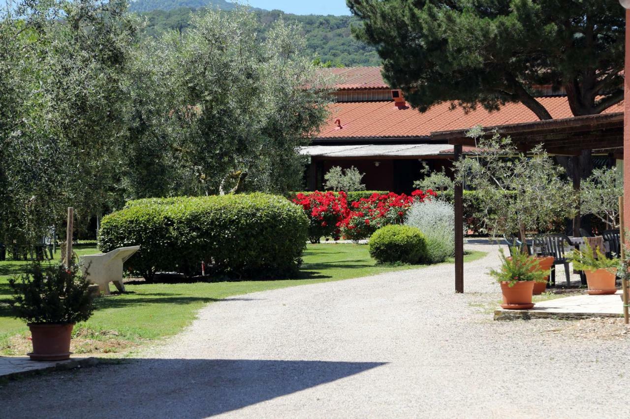 Agriturismo Fusini Magliano in Toscana Exterior foto